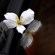 大山背客家人文生態館