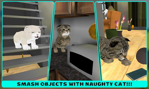 Real Pet Cat 3D simulator