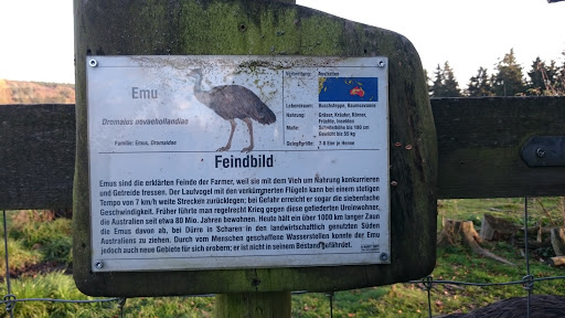 Emu Rheinböllen
