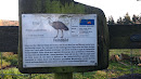 Emu Rheinböllen