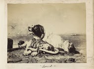 Fotoreproductie van een prent naar een schilderij van Edwin Henry Landseer