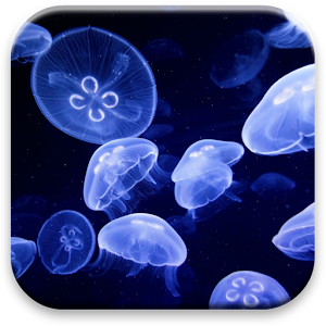 Jellyfish Live Wallpaper 個人化 App LOGO-APP開箱王