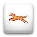 Bus Eireann Times logo
