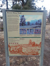 Burnt Mesa Trail