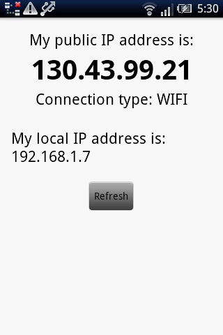 My IP address - screenshot