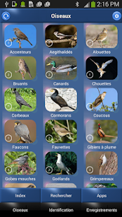 How to download Chants d’oiseaux automatique v5 mod apk for pc