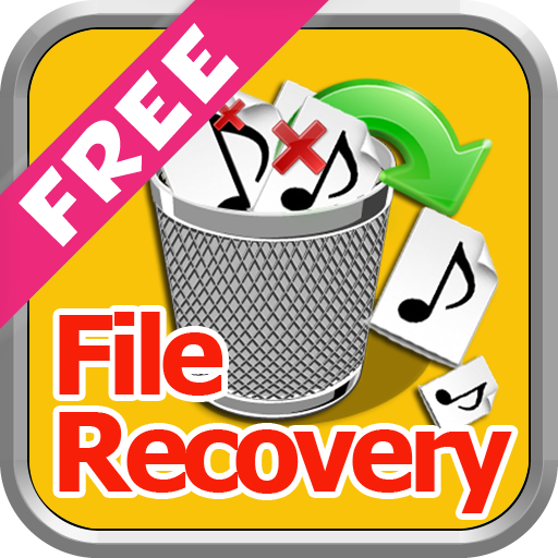 Deleted File Recovery Guide