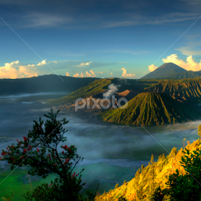 by Martin Marthadinata - Landscapes Mountains & Hills