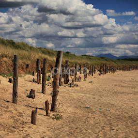 On the beach by Ferdinand Debnárik - Landscapes Beaches