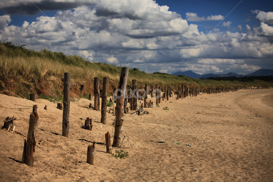 On the beach by Ferdinand Debnárik - Landscapes Beaches