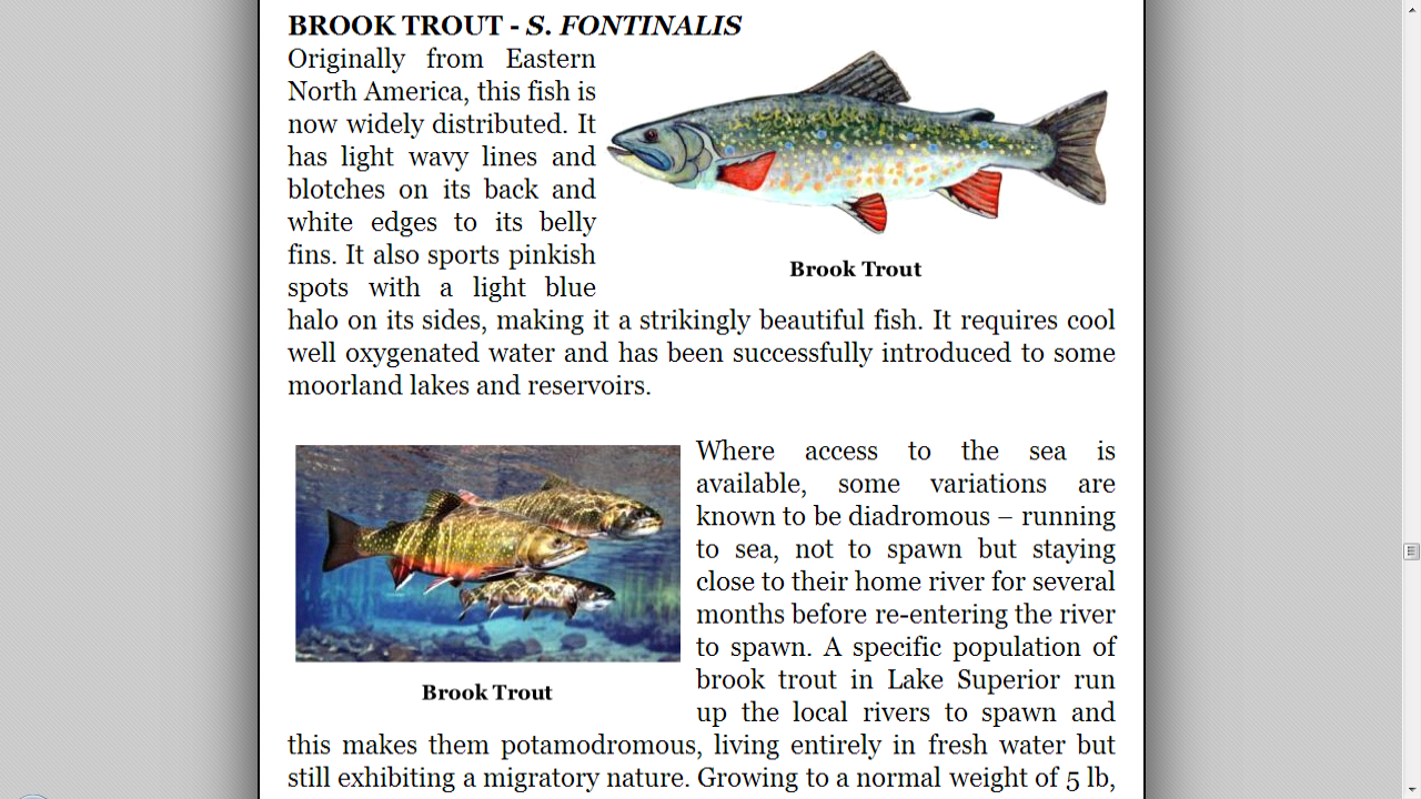 Fly Fishing Encyclopedia Android Apps on Google Play