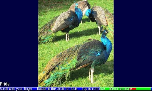 Download Lots of Animals 1 FREE APK