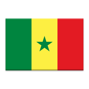 Senegal News 1.1