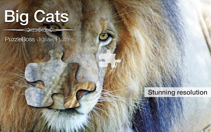 Big Cat Jigsaw Puzzles Demo poster 5