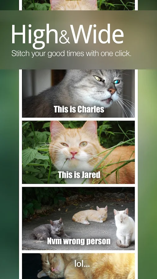 Photo Grid-Criador de Colagens - screenshot