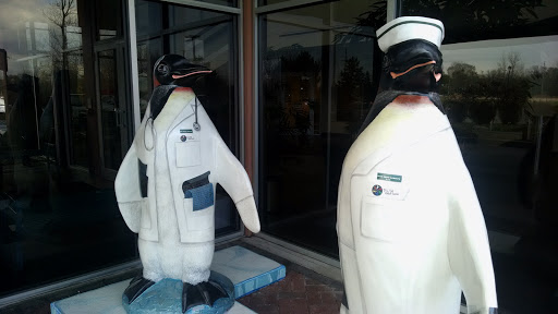 Pluta Penguins