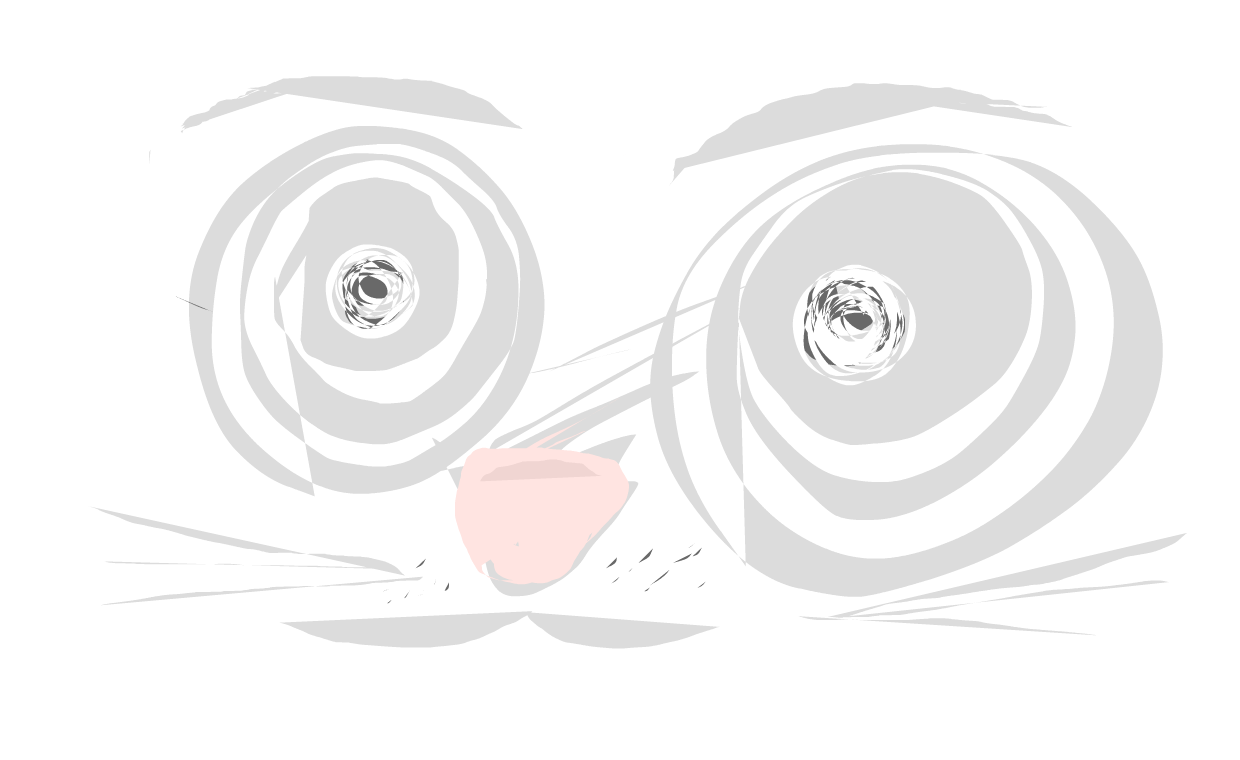 gato trip