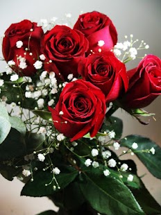 How to install 3D Roses wallpaper 2.0.6 mod apk for laptop