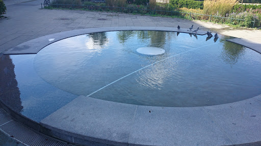 Pigeon Pool