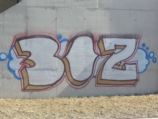 Графити BOZ