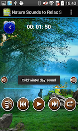 Nature Sounds To Relax Sleep poster 2