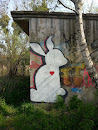 Rabbit Graffiti