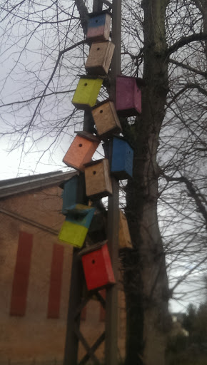 Bird Houses