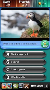 Bird Species Quiz HD Screenshots 9