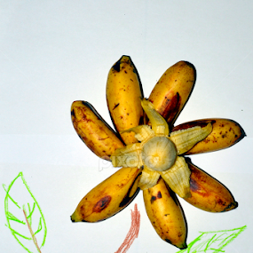Blooming Banana by Arri Alkatiri - Food & Drink Fruits & Vegetables
