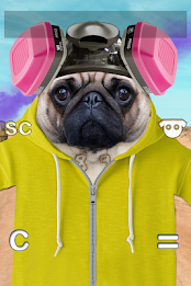 Kitten Calculator poster 19