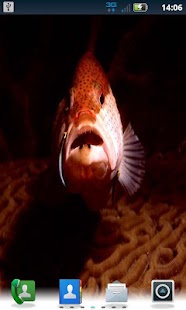 How to mod Color Fish LWP No3 Pro 1.7.24 unlimited apk for laptop