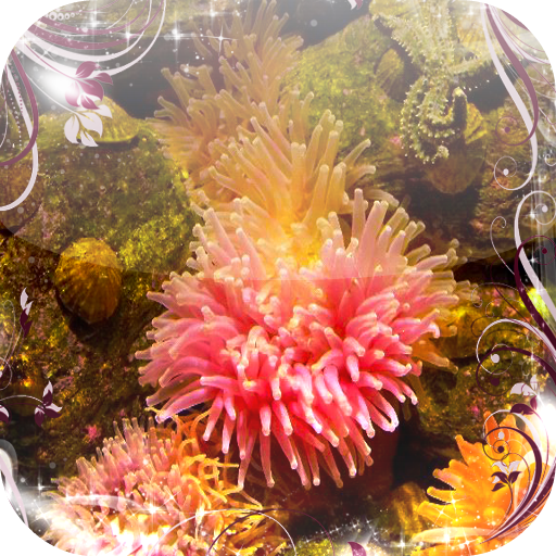 Sea anemone Jigsaw Puzzles LOGO-APP點子