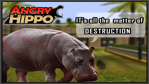 Angry Hippo 3D Game