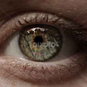Blue Eye Close Up by Sydney Rohmann - People Body Parts
