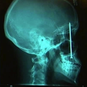 X-Rays and Body Scans logo