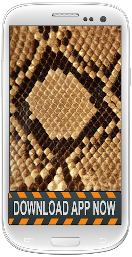 Snake Skin Android Wallpapers