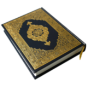 Download Quran Kareem Tajweed Pages 1 1 Apk 40 94mb For Android Apk4now