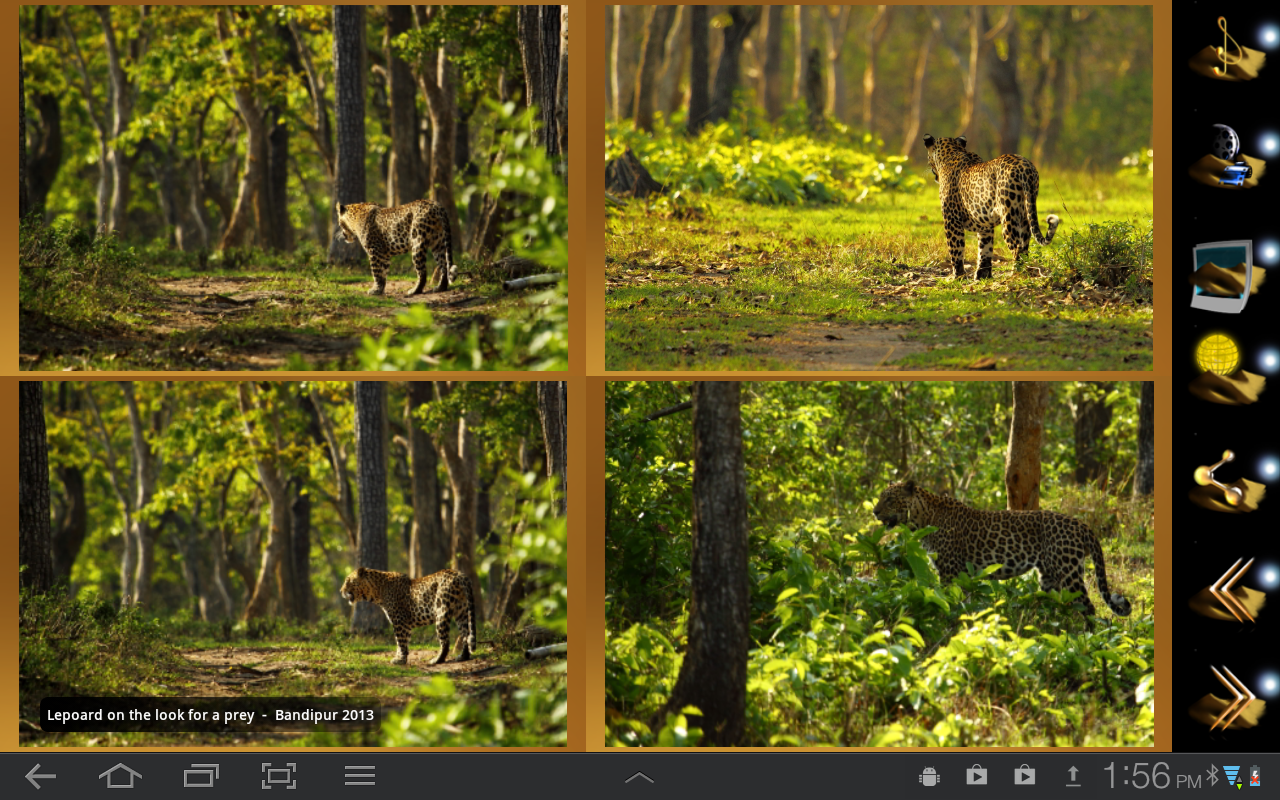 google photos merge albums