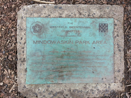 Mindowaskin Park Area