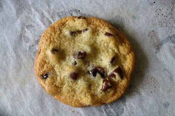 Not Just Any Chocolate Chip Cookie  