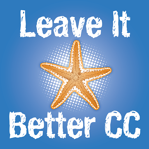 Leave It Better CC LOGO-APP點子