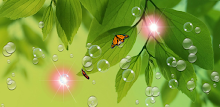 Green Leaf for Galaxy S4 APK