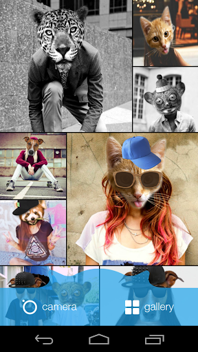 Meow Animal Face Photo Editor