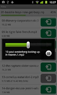 µTorrent®  Remote - screenshot thumbnail