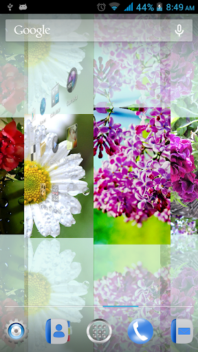 免費下載娛樂APP|Charming Flowers LiveWallpaper app開箱文|APP開箱王