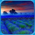 3D Nature logo