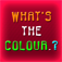 What’s The Color logo