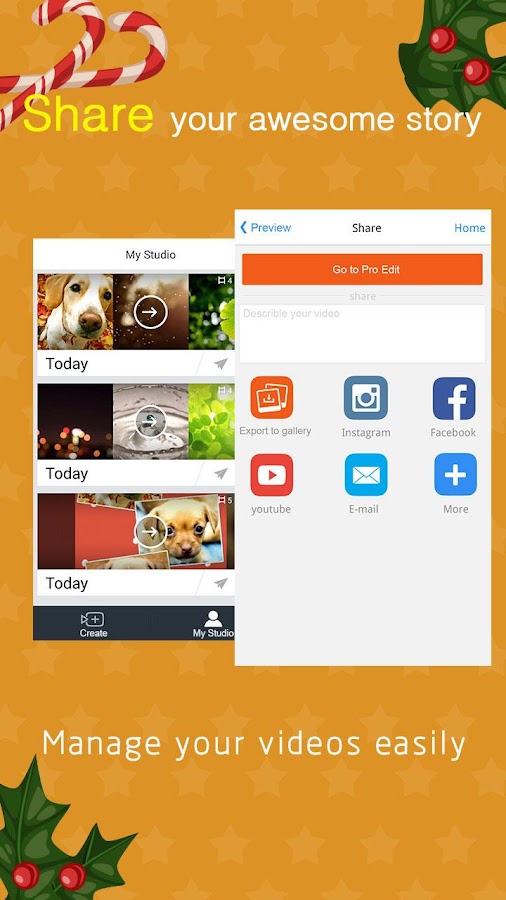 VivaVideo Pro: Video Editor - screenshot