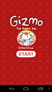 Gizmo: Cute Pet Bunny