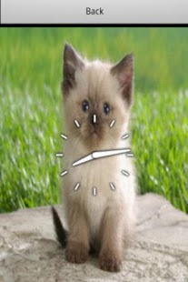 Meow Cats Free Screenshots 2